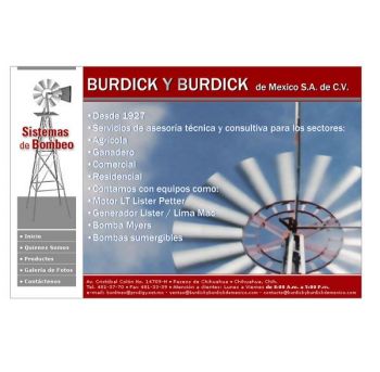 diseño web: Burdick